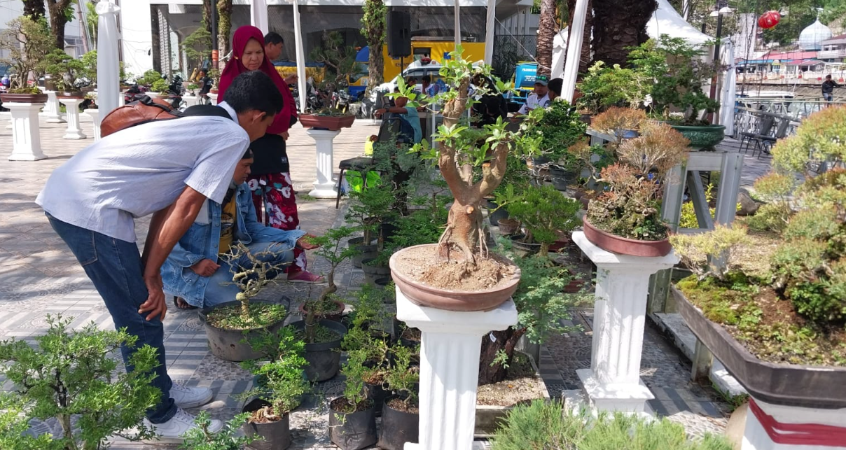 Pameran Bonsai di Festival Muaro Padang (Facebook Diskominfo Padang)